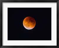 Framed Blood Moon In Seattle