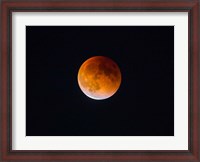 Framed Blood Moon In Seattle