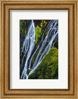 Framed Panther Falls, Washington State