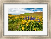 Framed Spring Wildflowers Cover The Meadows At Columbia Hills State Park