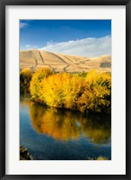 Framed Autumn Color Along The Yakima River