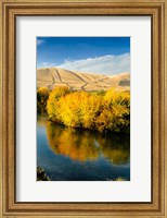Framed Autumn Color Along The Yakima River