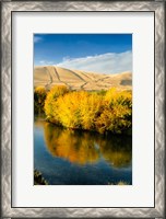 Framed Autumn Color Along The Yakima River