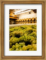 Framed Bin Of Chardonnay Grapes Awaits Beind Crushed