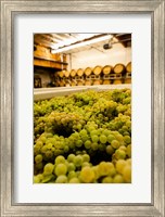 Framed Bin Of Chardonnay Grapes Awaits Beind Crushed