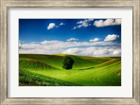 Framed Rolling Wheat Field Landscape With A Lone Tree