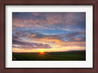 Framed Sunset Cast On Rolling Hills Of Green, Washington State