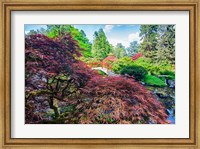 Framed Japanese Maple With Moon Bridge