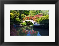 Framed Moon Bridge In The Kubota Gardensm Washington State