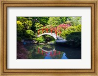 Framed Moon Bridge In The Kubota Gardensm Washington State