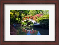 Framed Moon Bridge In The Kubota Gardensm Washington State