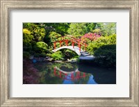 Framed Moon Bridge In The Kubota Gardensm Washington State