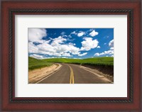 Framed Backroad Through The Green Fields Of Washington