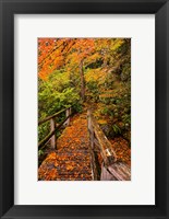 Framed Autumn Maple Leaves On A Bridge