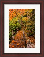 Framed Autumn Maple Leaves On A Bridge