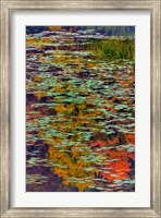 Framed Lily Pads And Autumn Reflections At Babcock State Park