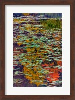 Framed Lily Pads And Autumn Reflections At Babcock State Park