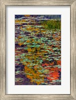 Framed Lily Pads And Autumn Reflections At Babcock State Park