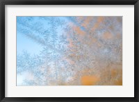 Framed Frost Patterns Formed On Glass