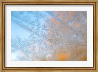 Framed Frost Patterns Formed On Glass