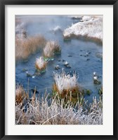 Framed Frost Along White Creek, Wyoming