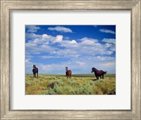 Framed Wild Horses Near Farson, Wyoming
