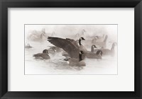 Framed Artistic Shot Of Canadian Geese In The Mist