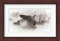 Framed Artistic Shot Of Canadian Geese In The Mist