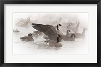 Framed Artistic Shot Of Canadian Geese In The Mist
