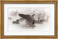 Framed Artistic Shot Of Canadian Geese In The Mist