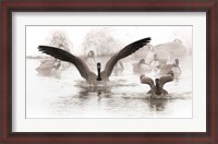 Framed Canadian Geese Land In A Winter's Pond