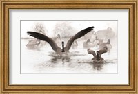 Framed Canadian Geese Land In A Winter's Pond