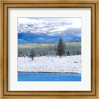 Framed Yellowstone National Park In Winter, Wyoming