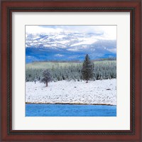 Framed Yellowstone National Park In Winter, Wyoming