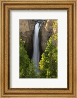 Framed Tower Falls, Yellowstone National Park, Wyoming