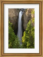 Framed Tower Falls, Yellowstone National Park, Wyoming