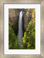 Framed Tower Falls, Yellowstone National Park, Wyoming