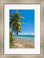 Framed Coast Around Merizo, Guam