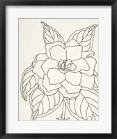 Framed Gardenia Line Drawing Crop