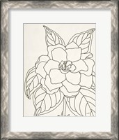 Framed Gardenia Line Drawing Crop