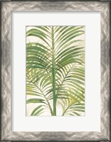 Framed Palms II Bright