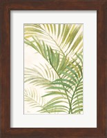 Framed Palms I Bright