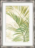 Framed Palms I Bright