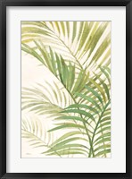 Palms I Bright Framed Print