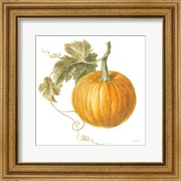 Framed Floursack Autumn VI on White