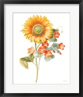 Floursack Autumn IV on White Framed Print