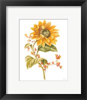 Framed 'Floursack Autumn I on White' border=