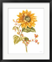 Floursack Autumn I on White Framed Print