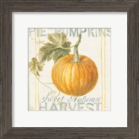 Framed 'Floursack Autumn VI' border=