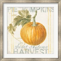 Framed Floursack Autumn VI